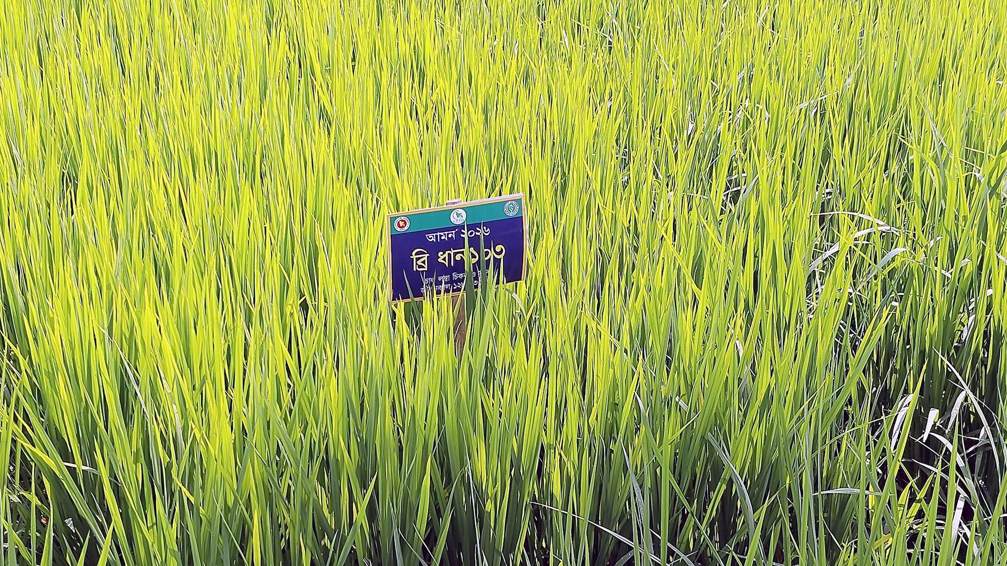 Dinajpur-2 Dinajpur-2