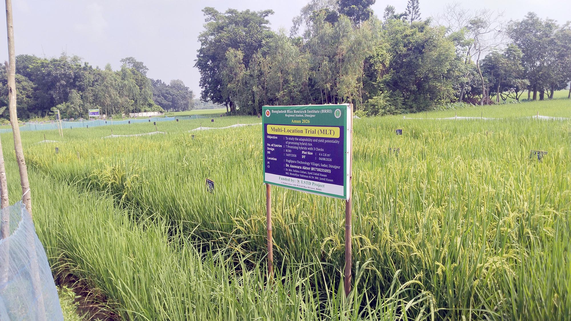 Dinajpur-3 Dinajpur-3