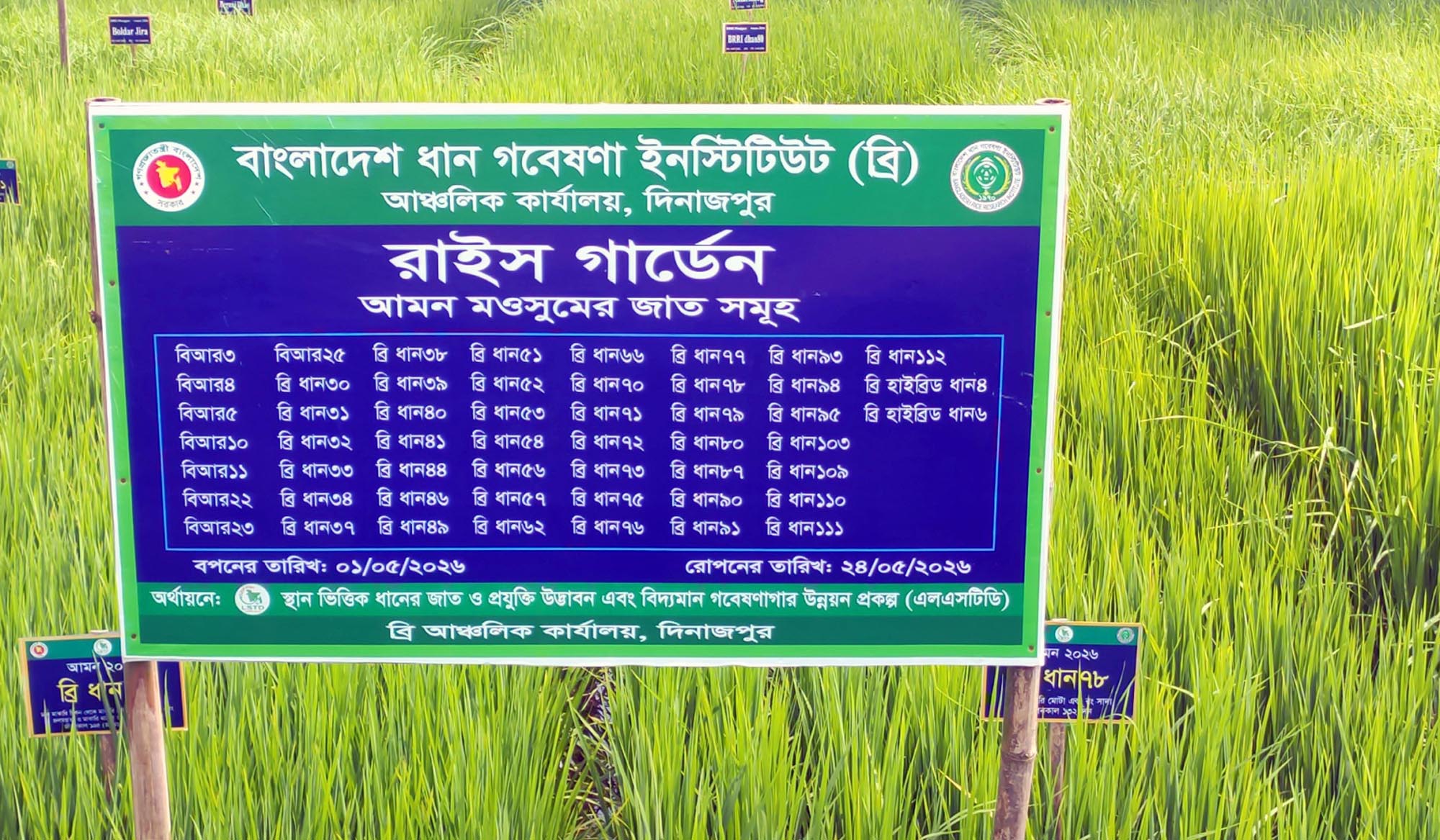 Dinajpur-5 Dinajpur-5