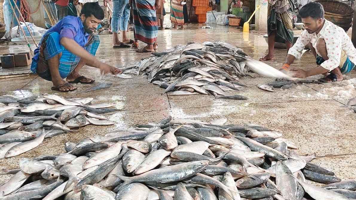 বঙ্গোপসাগরে জালে ধরা পড়ছে না কাঙ্ক্ষিত ইলিশ, হতাশ জেলেরা