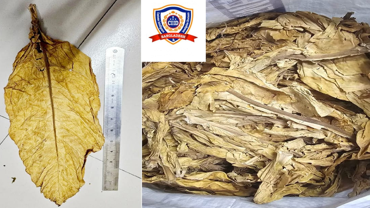 চট্টগ্রাম বন্দরে ১০ কনটেইনার তামাক জব্দ করেছে কাস্টমস গোয়েন্দা ও তদন্ত অধিদফতর।