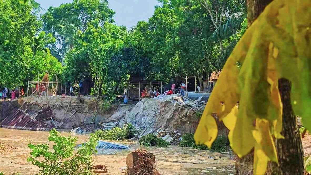 মধুমতির ভাঙনে দিশাহারা নদীপাড়ের মানুষ