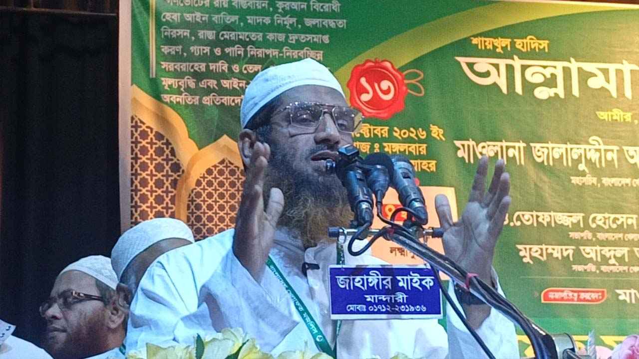 বিএনপিকে ভূতে ধরেছে: মামুনুল হক