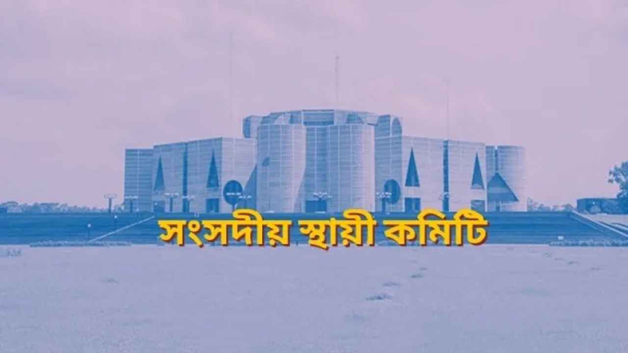 নিত্যপণ্যের অযৌক্তিক মূল্যবৃদ্ধি ঠেকাতে তদন্তের সুপারিশ সংসদীয় কমিটির