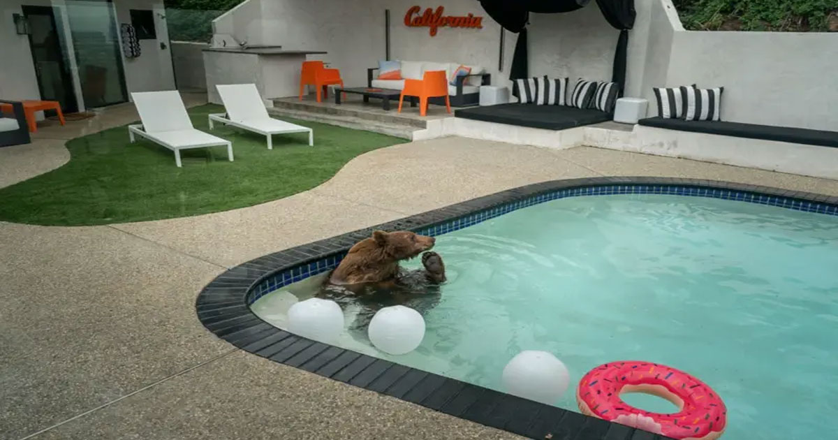 Pool Pool