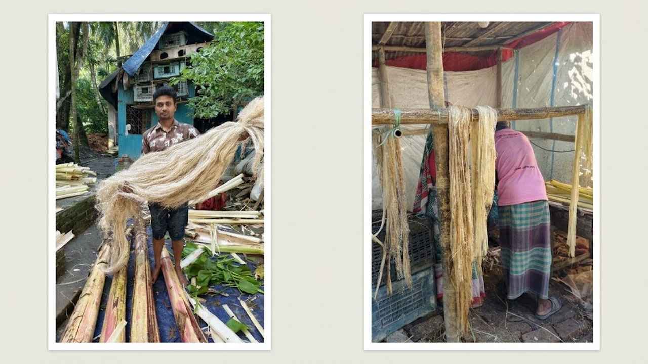 কলাগাছ ও কচুরিপানা থেকে সুতা তৈরিতে সম্ভাবনার নতুন দিগন্ত সুবর্ণচরে
