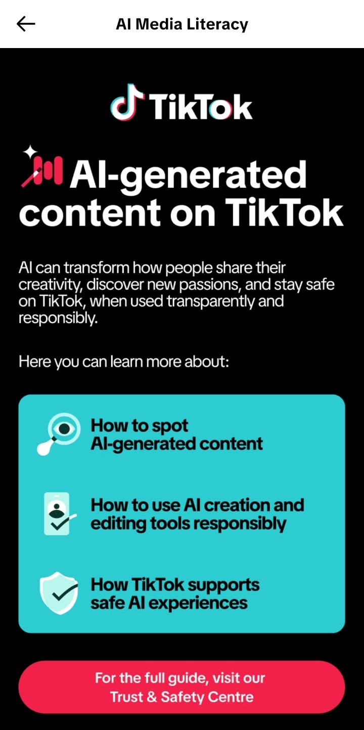 TikTok_AI_Hub-1 TikTok_AI_Hub-1