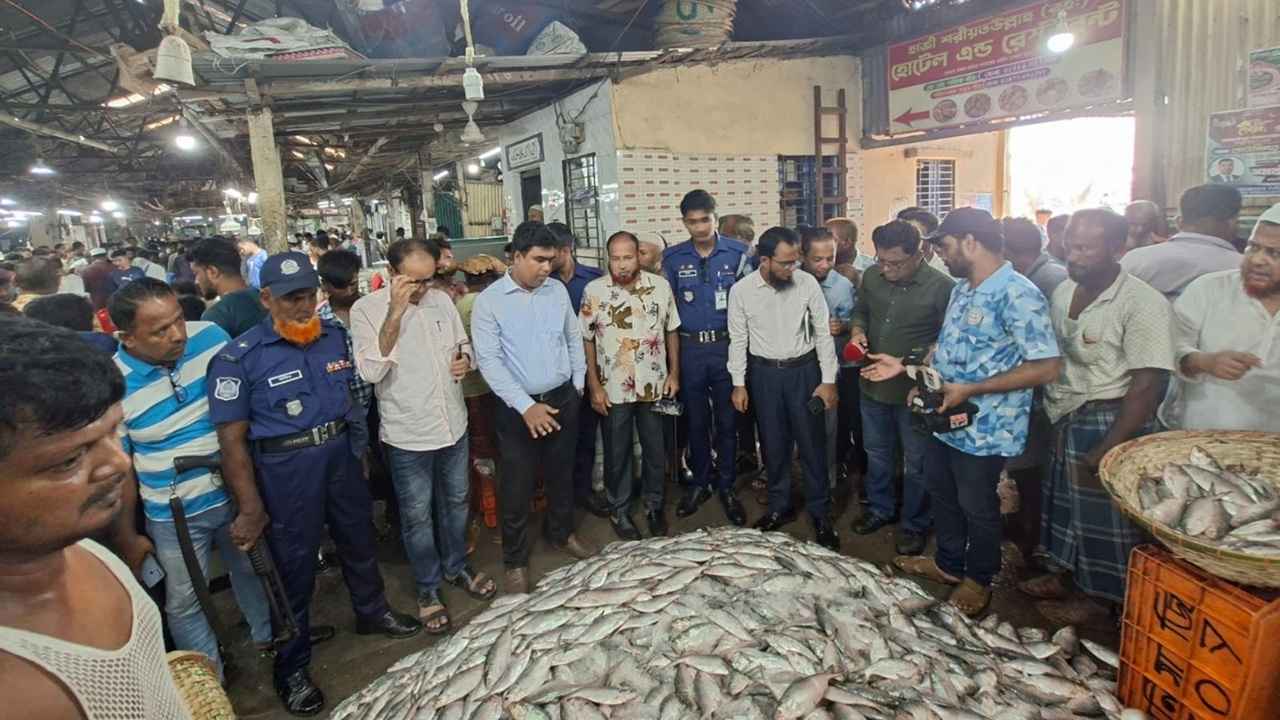 চাঁদপুরে পচা ইলিশ বিক্রির দায়ে ব্যবসায়ীকে জরিমানা