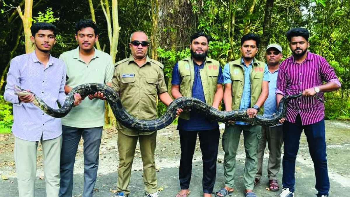 মিরসরাইয়ে ১২ ফুট দৈর্ঘ্যের অজগর উদ্ধার, ইকোপার্কে অবমুক্ত