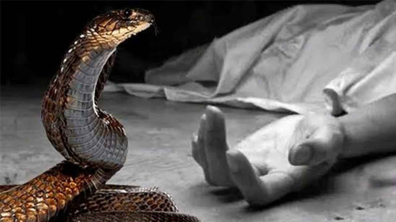 কুমিল্লায় সাপের কামড়ে অষ্টম শ্রেণির ছাত্রীর মৃত্যু