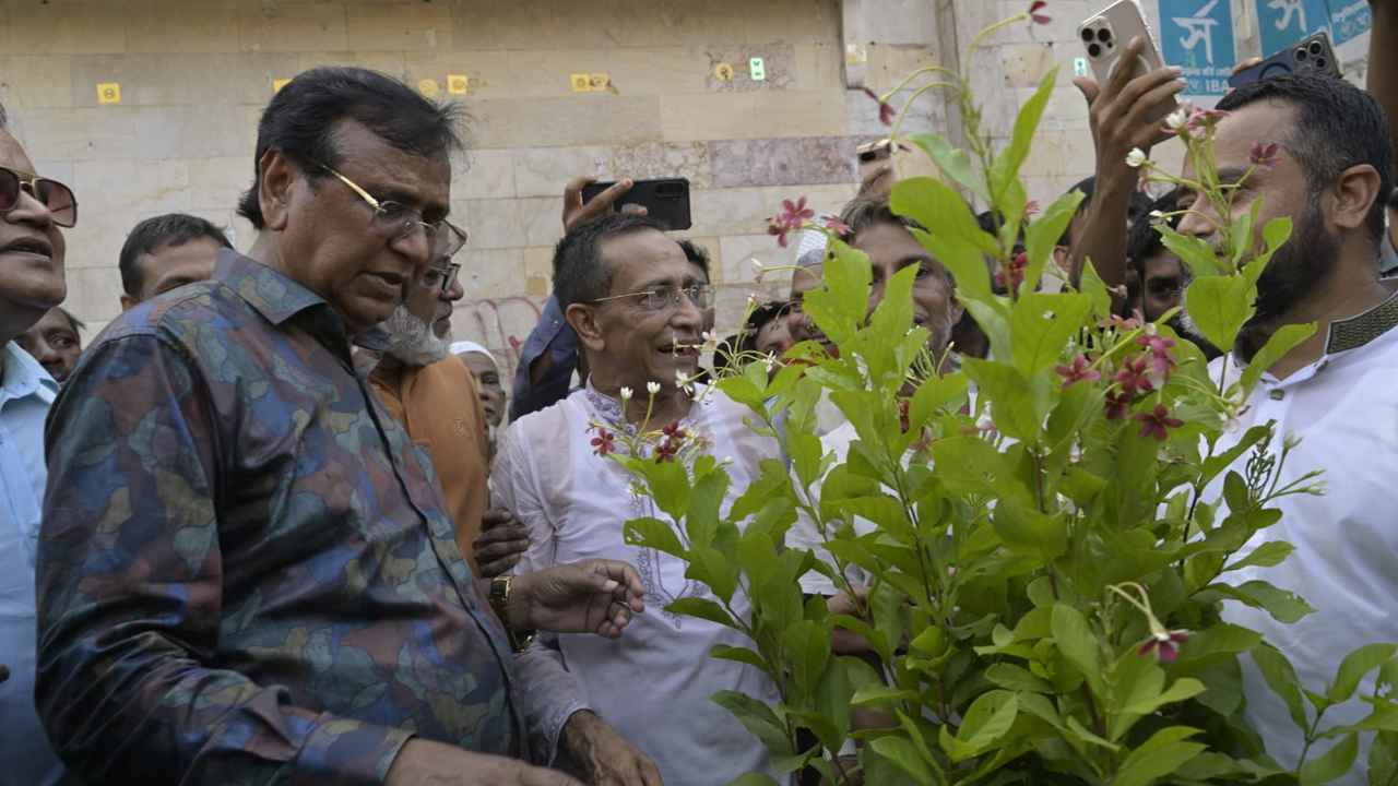 নিউ মার্কেটের ফুটপাত দখলমুক্ত করে গাছের টব বসাল ডিএসসিসি