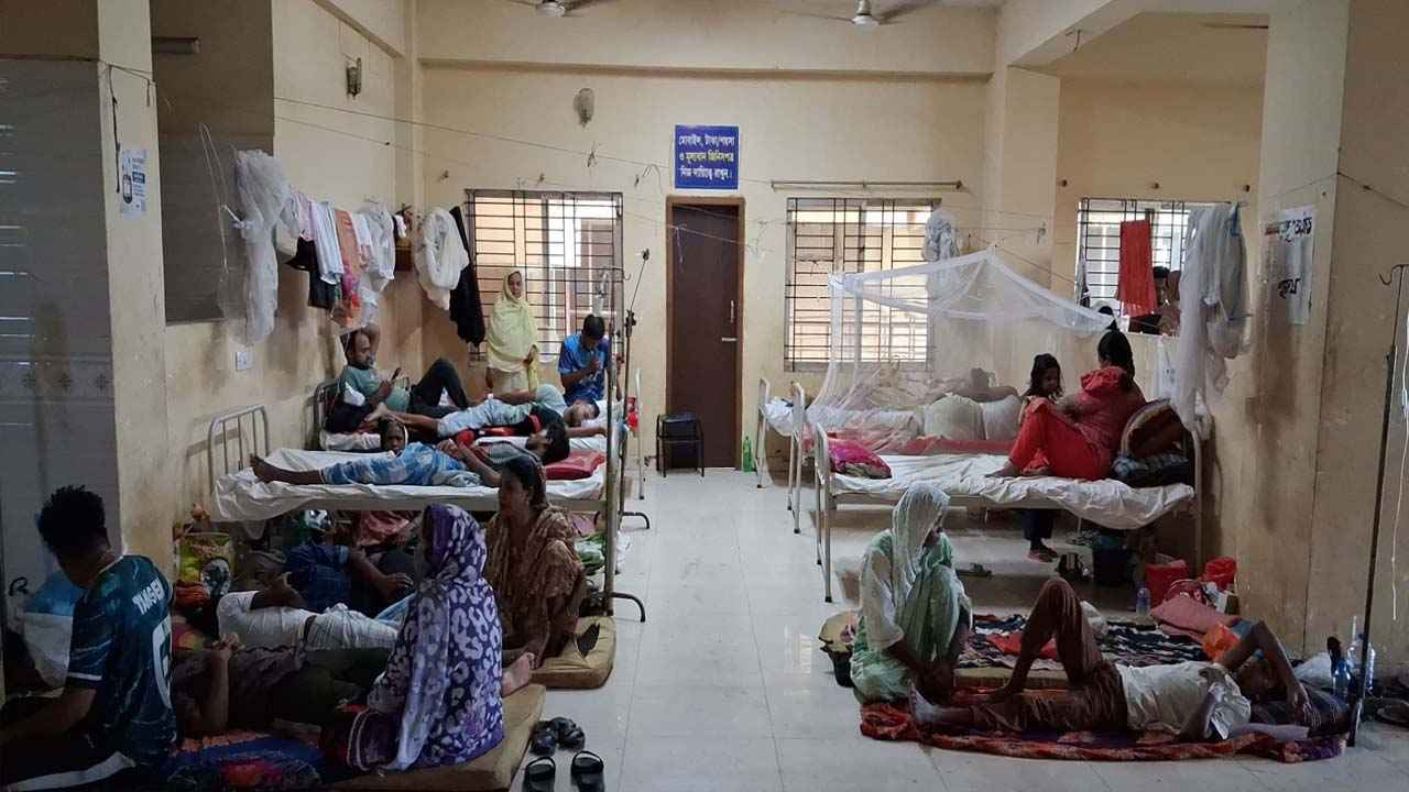 ফেনীতে ডেঙ্গু আক্রান্ত ১,০১৬, হাসপাতালে ভর্তি ৪৩