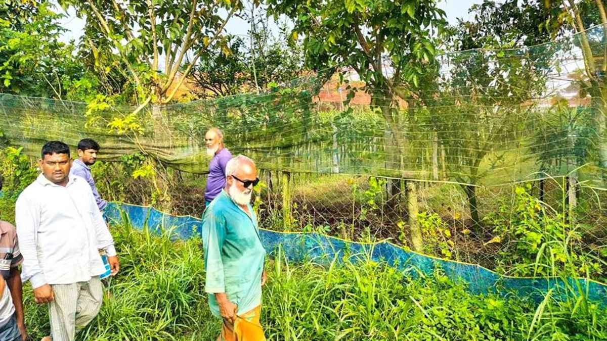 ড্রাগন বাগানে পেতে রাখা বৈদ্যুতিক ফাঁদে জড়িয়ে কিশোরের মৃত্যু