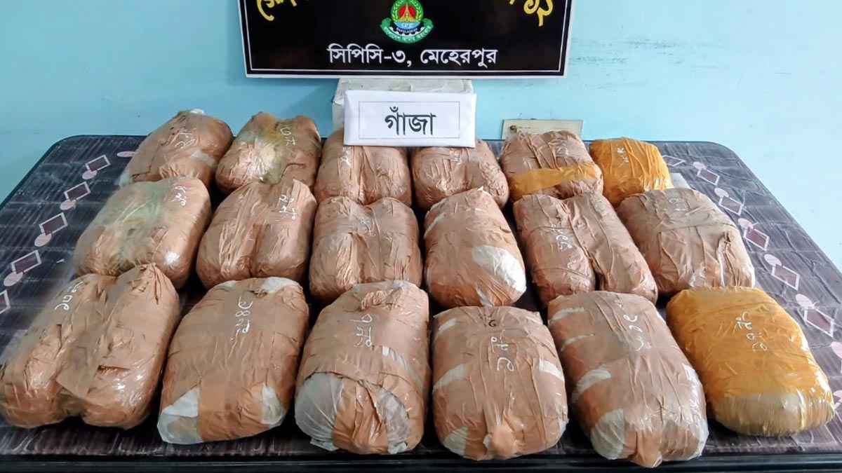 দামুড়হুদায় ১৮ কেজি গাঁজাসহ নারী গ্রেফতার