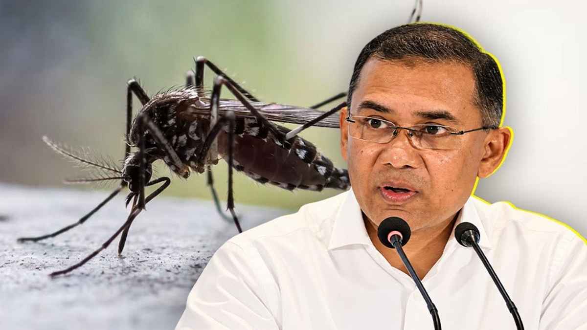 ডেঙ্গু প্রতিরোধে ঘরবাড়ি ও আশপাশ পরিষ্কারের আহ্বান প্রধানমন্ত্রীর
