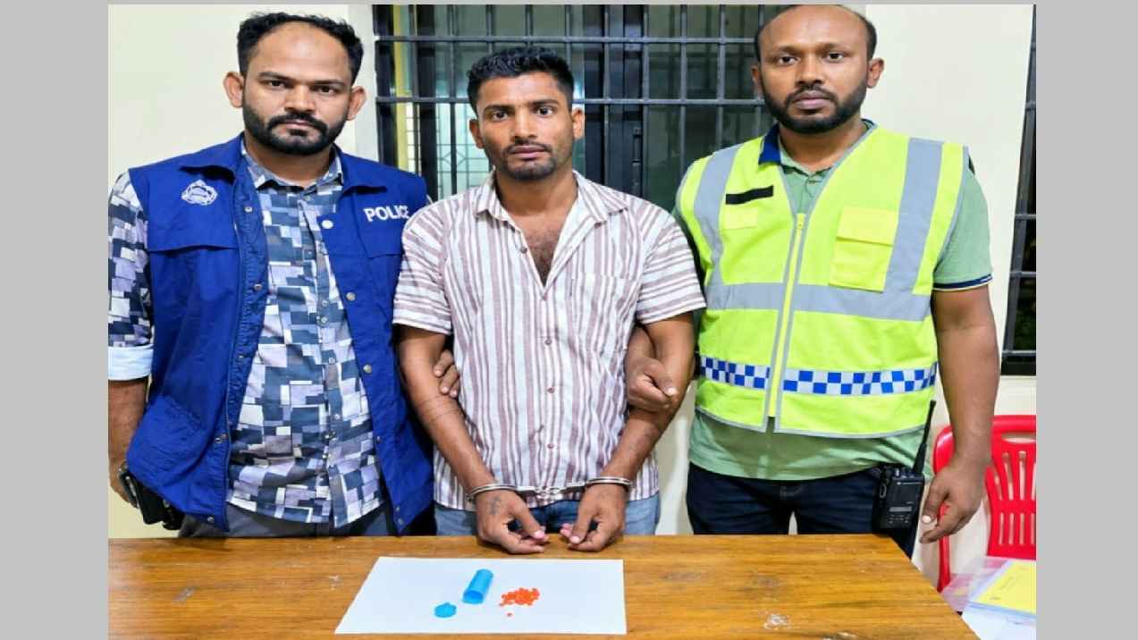 ব্রাহ্মণবাড়িয়ায় ইয়াবাসহ একাধিক মামলার আসামি গ্রেফতার