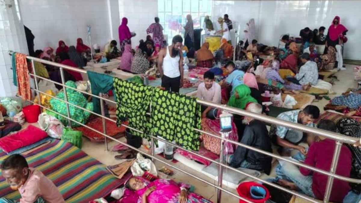 শেরপুর সদর হাসপাতালে ডেঙ্গু-হামের রোগীর চাপ, সংকটে বেড ও ওষুধ