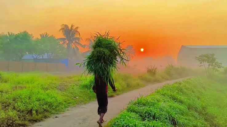 শীত কি এবার আগেই আসবে?