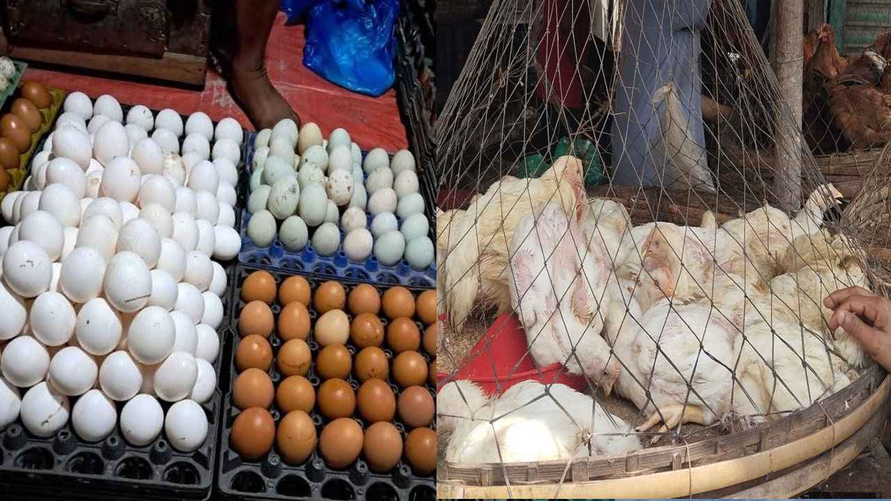 ডিমের দাম বাড়লেও কমেছে ব্রয়লার মুরগির