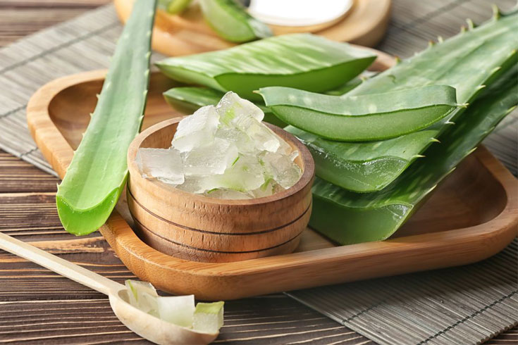 Aloe-Vera
