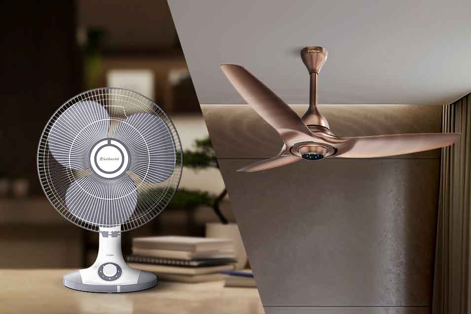 Ceiling-Fan-vs-Table-Fan Ceiling-Fan-vs-Table-Fan