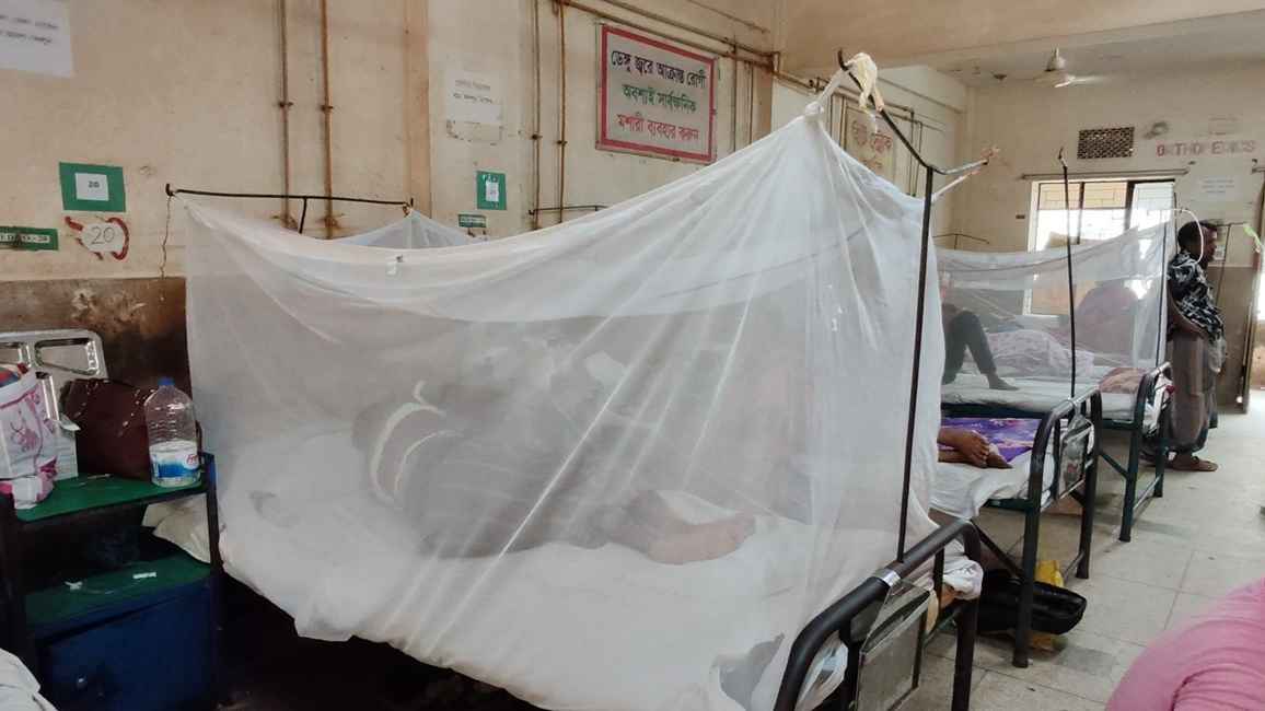 ডেঙ্গুতে একদিনে আরও ৬ মৃত্যু, হাসপাতালে ভর্তি ১৪৯২