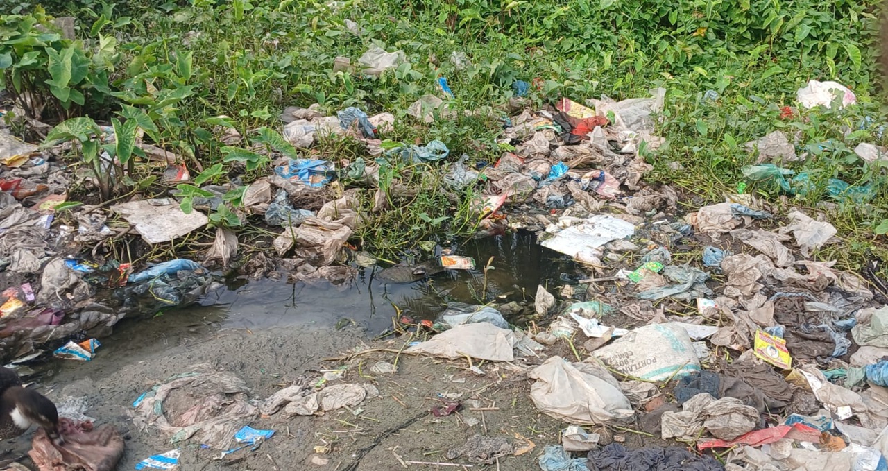 Dengu_Gazipur-2