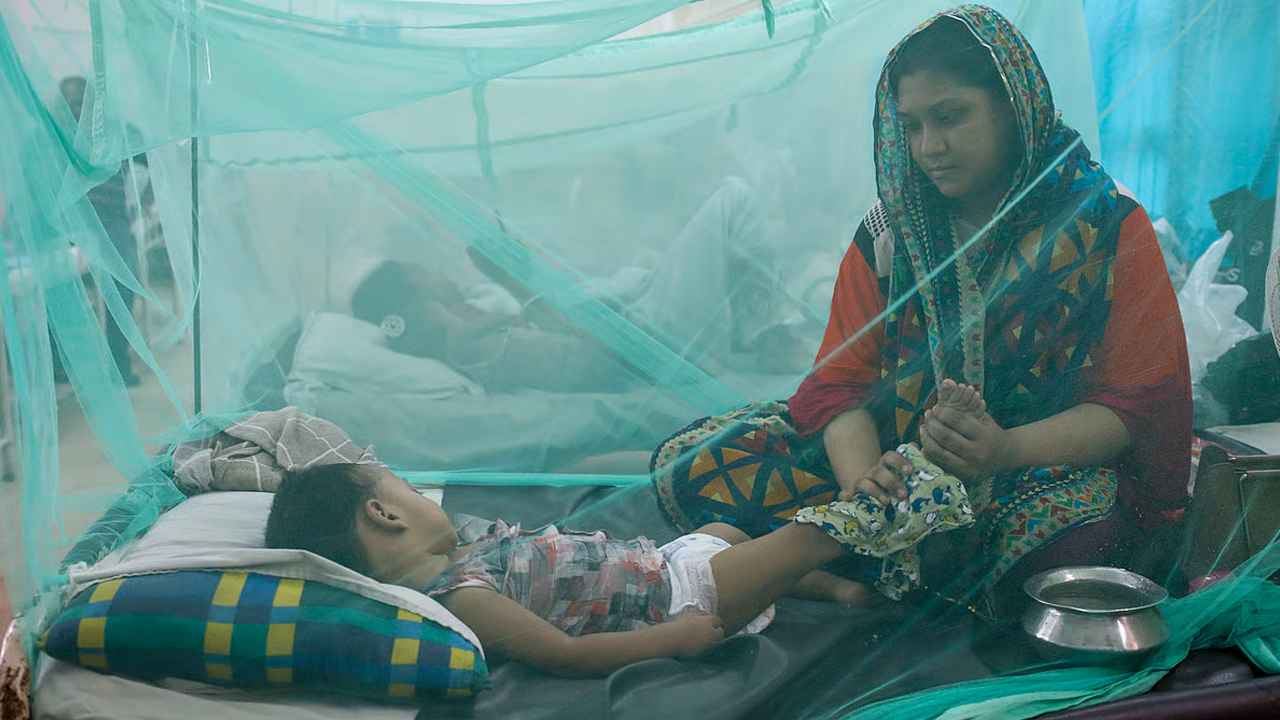 Dengue3