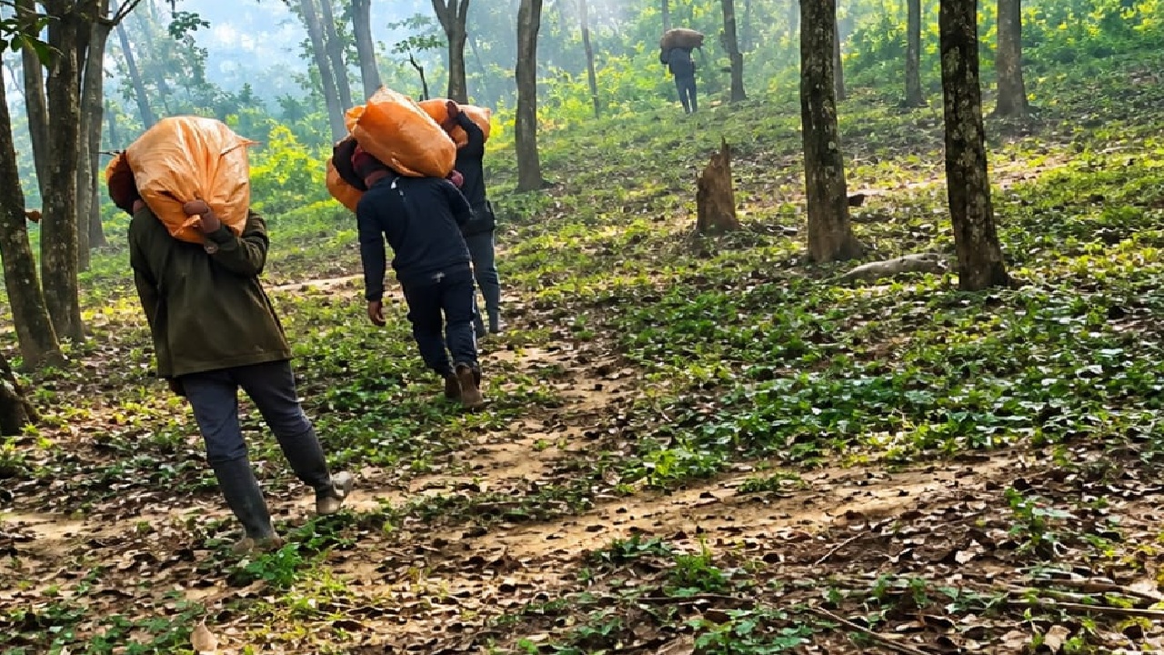 Drug_smuggling_along_the_Garo_Hills_border_in_Sherpur