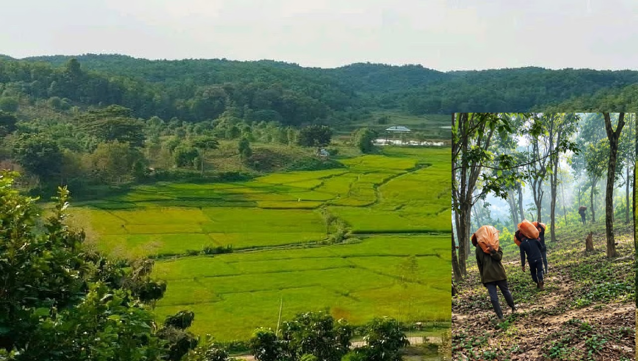 Drug_smuggling_along_the_Garo_Hills_border_in_Sherpur_2