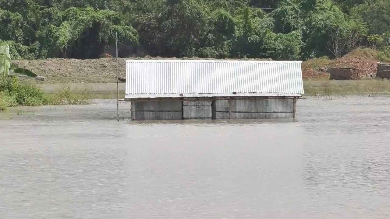 পদ্মা-যমুনার পানি বিপৎসীমা ছুঁই ছুঁই, প্লাবিত হাজারো বিঘা ফসলি জমি