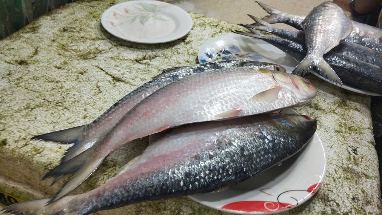 বাজারে ইলিশের দাম আকাশছোঁয়া। ছবি: ঢাকা মেইল