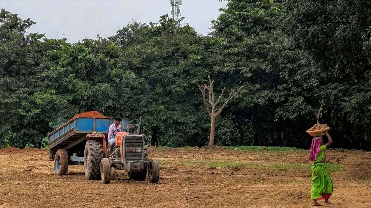 জাবির রবীন্দ্রনাথ হলের মাঠ সংস্কারে নানা অনিয়মের অভিযোগ