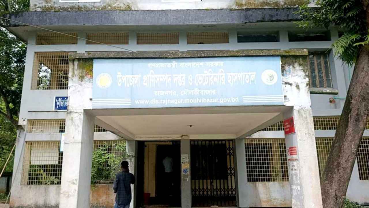 ছয় বছর ধরে রাজনগর ভেটেরিনারি হাসপাতালে সার্জন নেই, ব্যাহত চিকিৎসাসেবা
