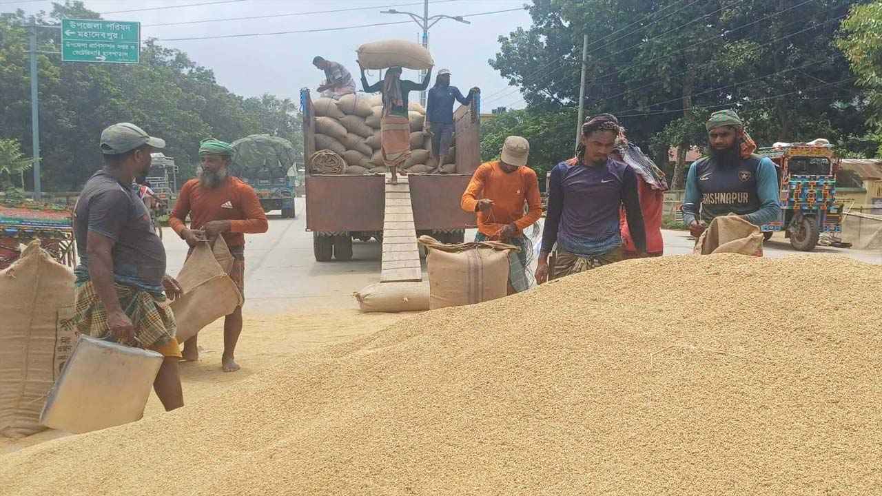 নওগাঁয় আউশ ধানের বাজারে ‘আমদানি’র ধাক্কায় দরপতন