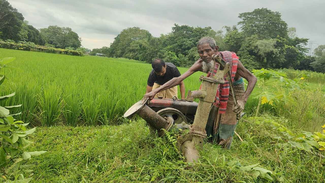 তেলের দামে নতুন ধাক্কা, বাড়তি খরচের বোঝায় দিশেহারা সিরাজগঞ্জের কৃষক