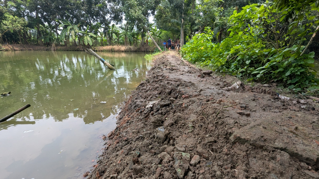 Road_in_Rajbari_cut_open_into_a_pond_3