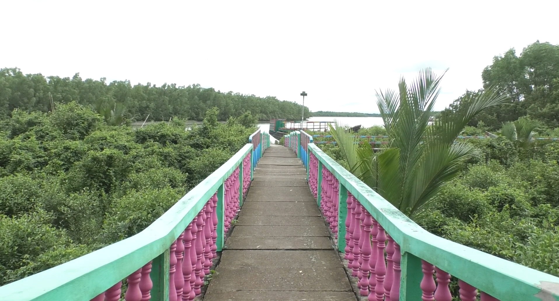 Sundorbon_Tourist_(6)