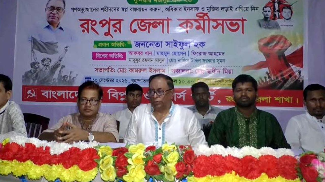 বিরোধী দল সংসদে ভেজা বিড়াল-বাইরে বাঘ: সাইফুল হক