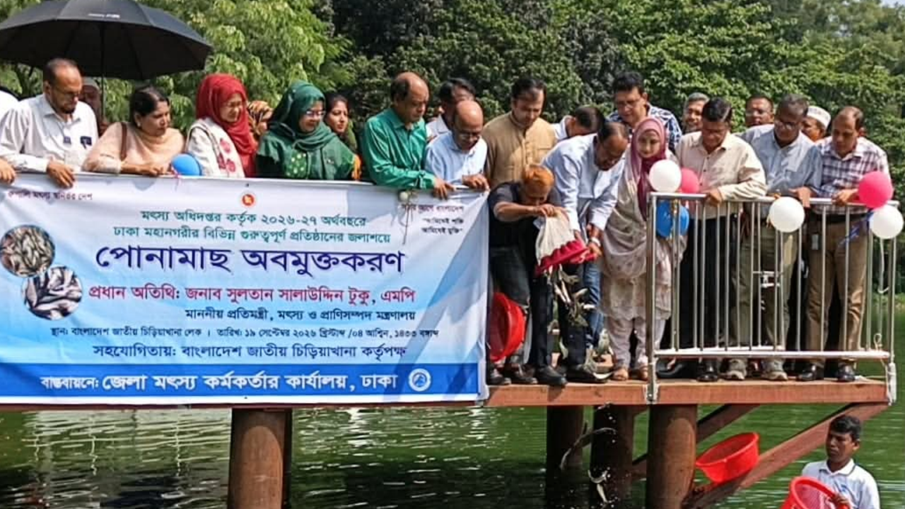 চিড়িয়াখানার লেকে ২ হাজার ৫৭৫ পোনামাছ অবমুক্ত