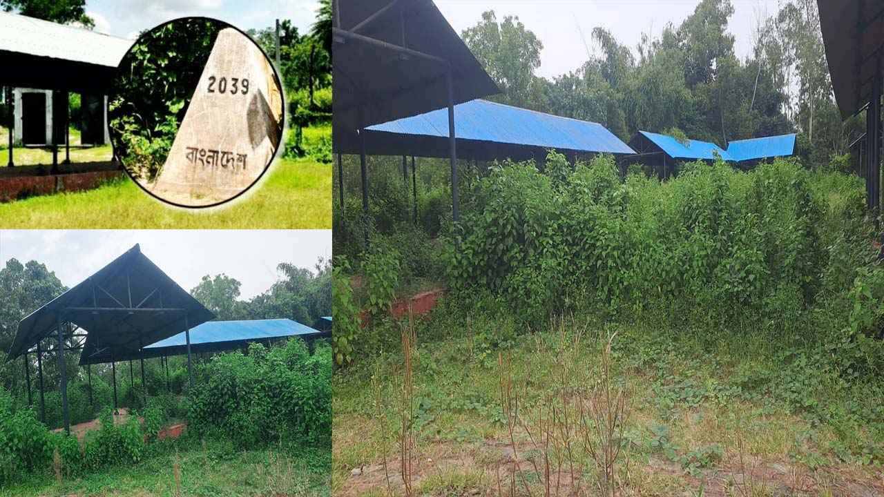 জঙ্গলে পরিণত হয়েছে ৭ বছর ধরে বন্ধ কসবার তারাপুর বর্ডার হাট