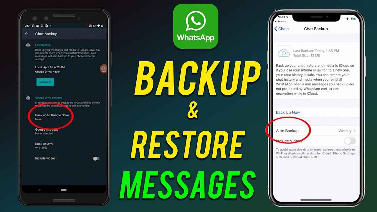 হোয়াটসঅ্যাপ চ্যাট ব্যাকআপ রাখার নিয়ম