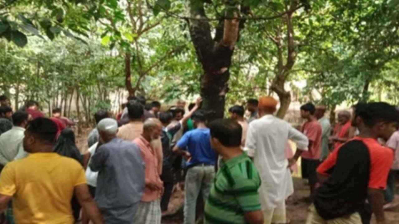 মুরগির ময়লার গর্ত থেকে বৃদ্ধার লাশ উদ্ধার