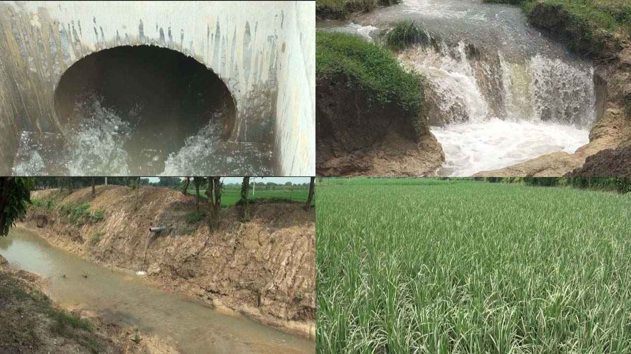 ফারুকের উদ্যোগে মাটির নিচে ড্রেন, জলাবদ্ধতা থেকে রক্ষা হাজার বিঘা ধান