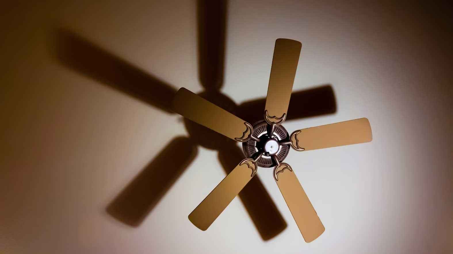 সিলিং ফ্যানের বিদ্যুৎ খরচ কেমন?
