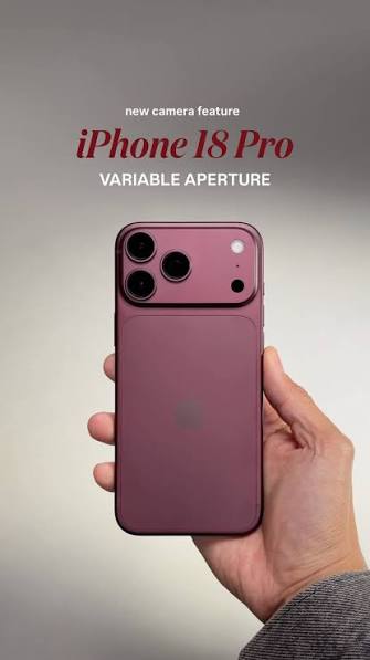 images_(1)
