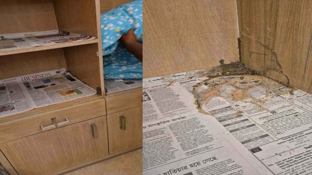সার্কিট হাউসে কক্ষজুড়ে উইপোকা, ক্ষুব্ধ হয়ে চলে গেলেন বিরোধীদলীয় উপনেতা