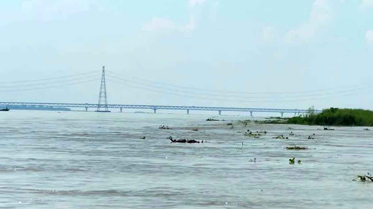 পদ্মা নদী থেকে অজ্ঞাত ব্যক্তির অর্ধগলিত মরদেহ উদ্ধার
