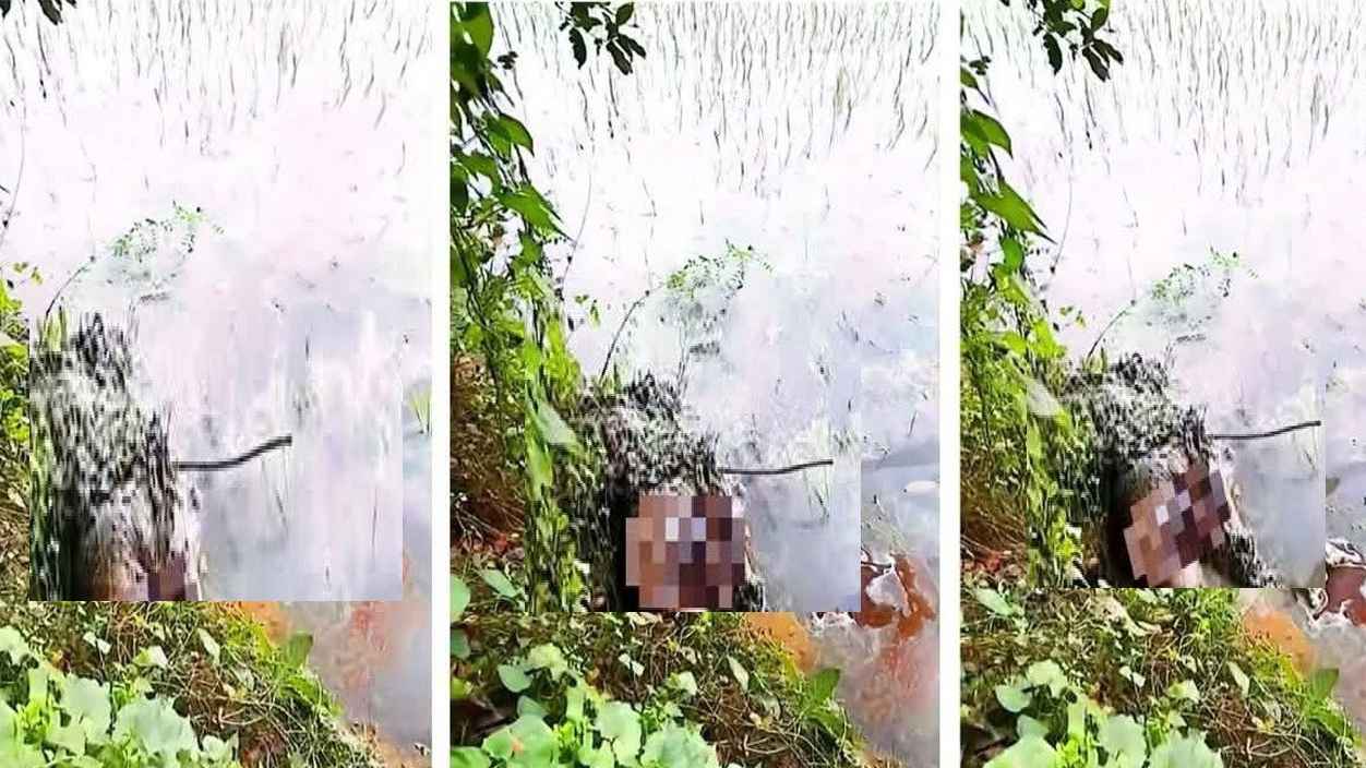 কুমিল্লায় জমিতে পুঁতে রাখা নারীর হাত-পা বাঁধা মরদেহ উদ্ধার