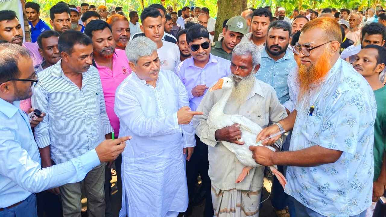 রাজশাহীতে বিনা মূল্যে ৮৩ হাজার ৫০০ পশুপাখিকে টিকা